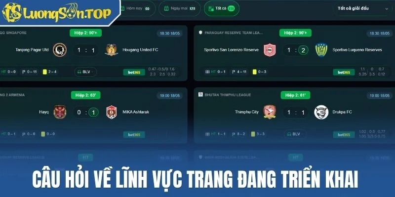 Câu hỏi về lĩnh vực trang đang triển khai