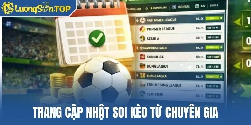 Trang cập nhật soi kèo từ chuyên gia