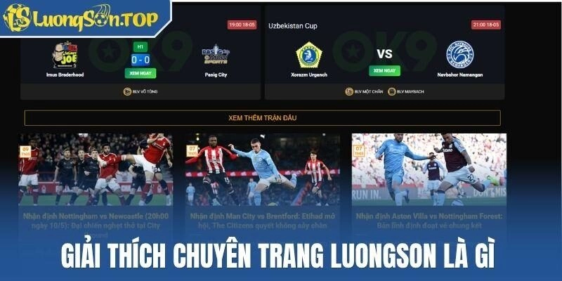 Giải thích chuyên trang Luongson là gì