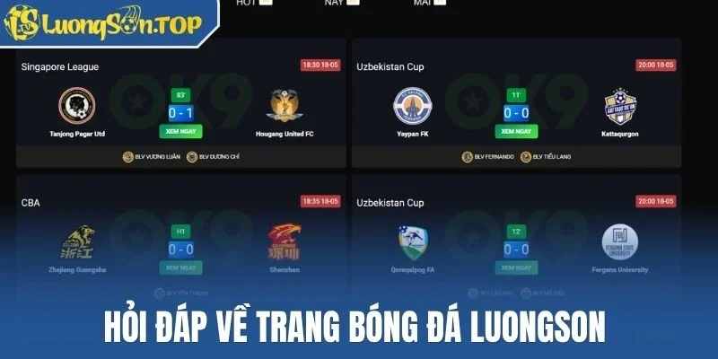 Hỏi đáp về trang bóng đá Luongson