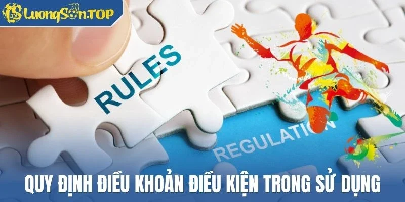 Quy định điều khoản điều kiện trong sử dụng