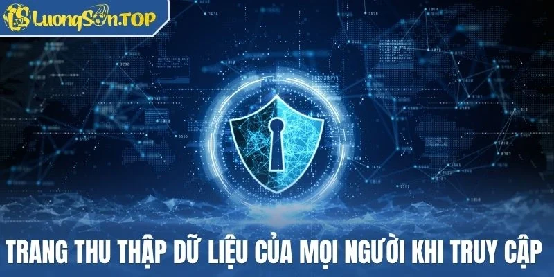 Trang thu thập dữ liệu của mọi người khi truy cập