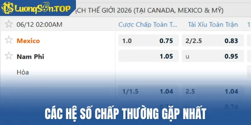 Các hệ số chấp thường gặp nhất