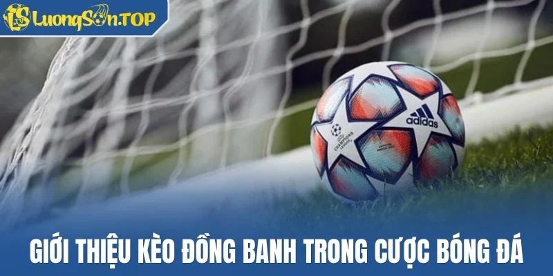 Giới thiệu kèo đồng banh trong cược bóng đá