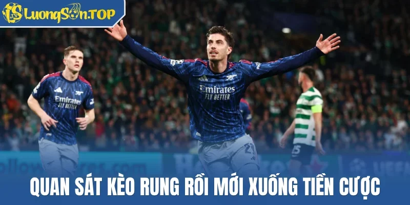 Quan sát kèo rung rồi mới xuống tiền cược