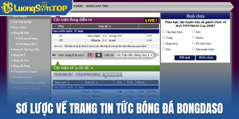Sơ lược về trang tin tức bóng đá Bongdaso