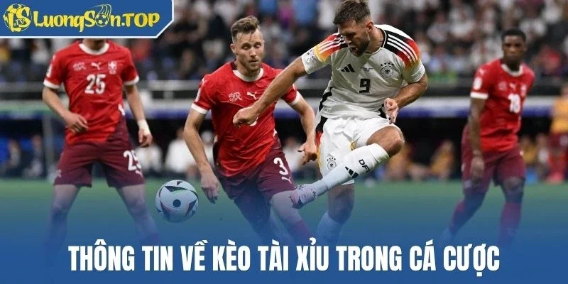 Thông tin về kèo tài xỉu trong cá cược