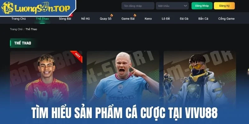 Tìm hiểu sản phẩm cá cược tại Vivu88