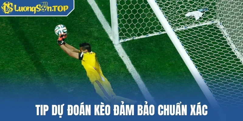 Tip dự đoán kèo đảm bảo chuẩn xác