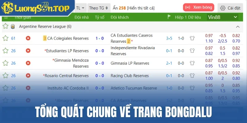 Tổng quát chung về trang Bongdalu