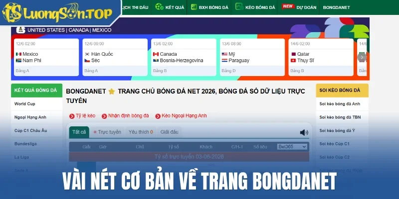 Vài nét cơ bản về trang Bongdanet